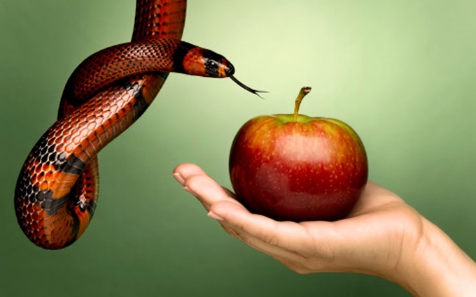 Obstáculos na Busca pela Santidade